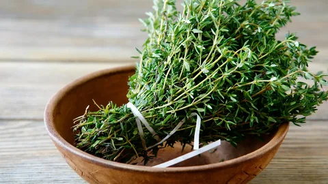 زراعة الزعتر