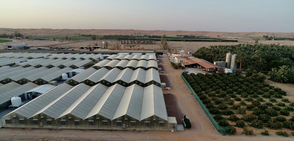 مشروع زراعة مائية تجاري في السعودية